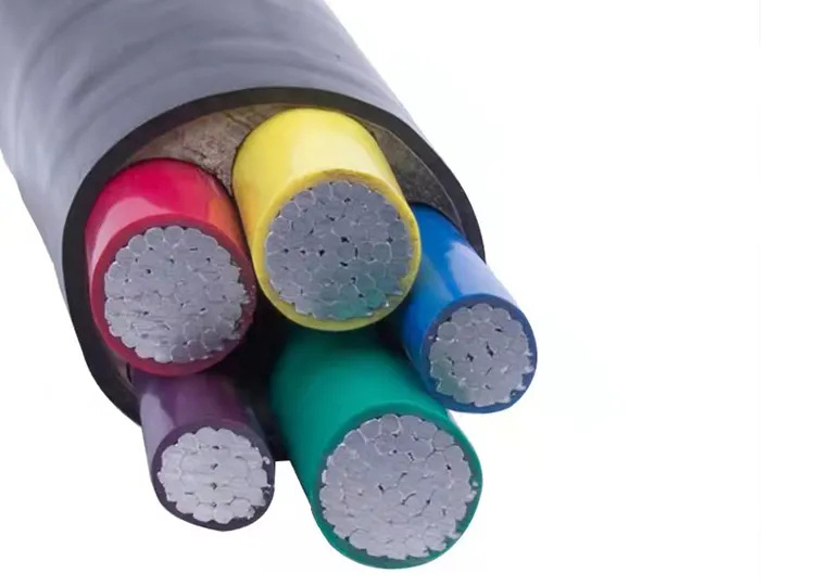 62cd58faa369c.jpg 01.jpg